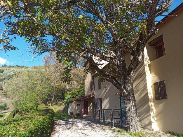 Agriturismo Il Giardino Понтасиеве Екстериор снимка