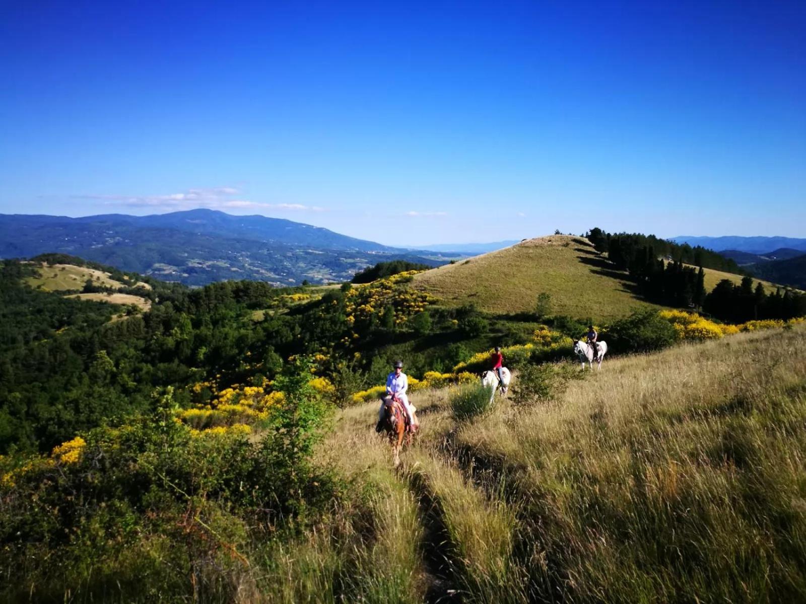 Agriturismo Il Giardino Понтасиеве Екстериор снимка