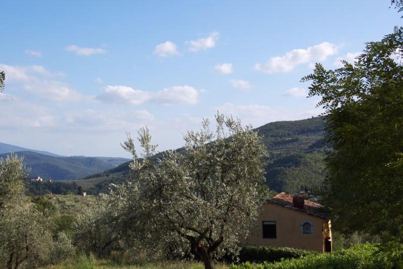 Agriturismo Il Giardino Понтасиеве Екстериор снимка