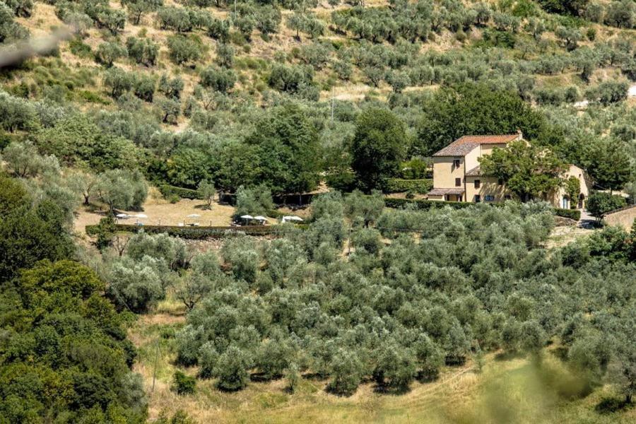 Agriturismo Il Giardino Понтасиеве Екстериор снимка